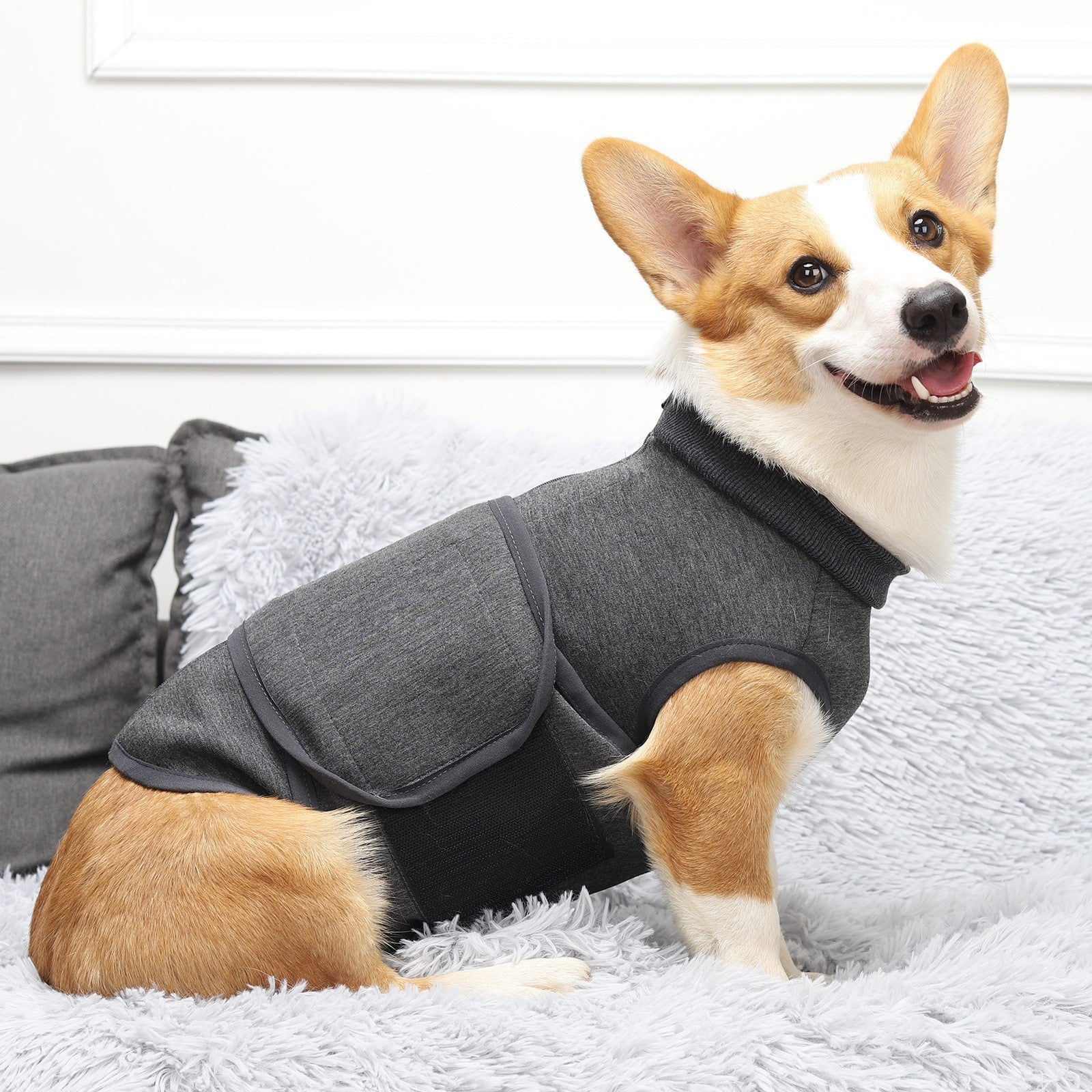 Enhance Your Pet's Comfort with Our Double Jacket