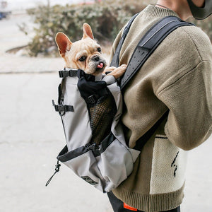 Pet Carrier Backpack: The Ultimate Travel Companion for Your Furry Friend