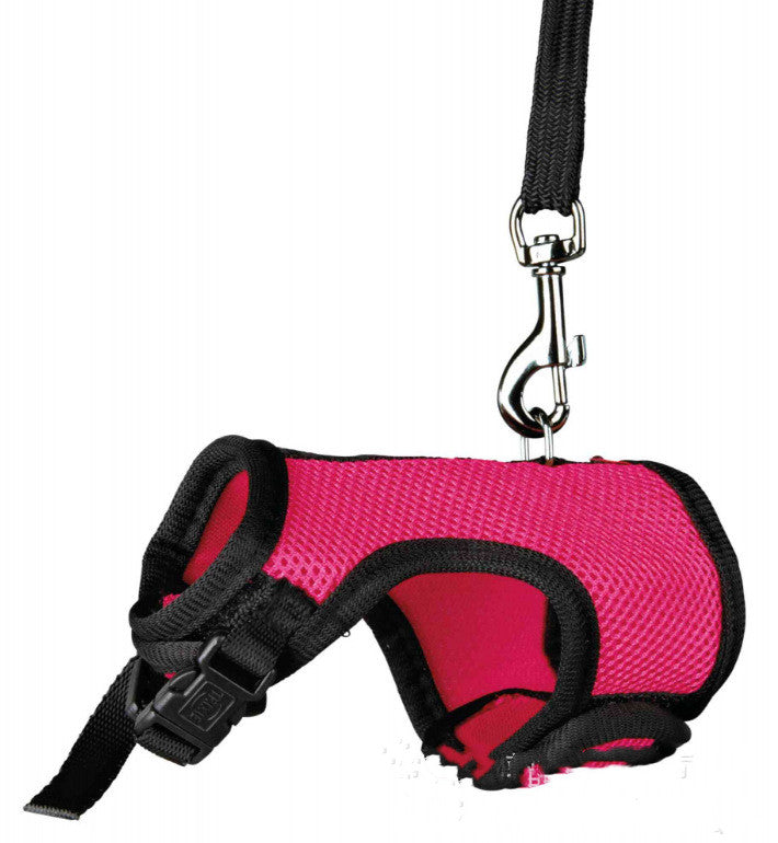 Discover the Perfect Companion for Your Small Pet: The Pet Small Size Walking Leash
