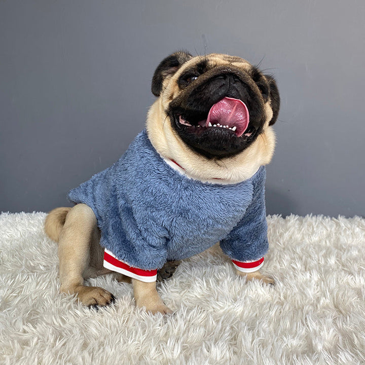 The Ultimate Winter Wardrobe for Your Furry Friend