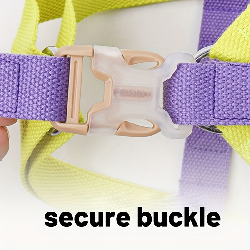 Embrace Style and Comfort with Our Rainbow Colorblock Pet Harness Vest Rope Leash Set