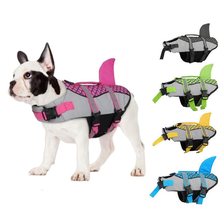 Why Your Dog Needs a Swim Pet Dog Life Jacket Vest