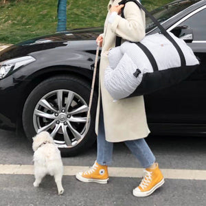 Why Every Pet Owner Needs the Pet Travel Safety Car Carrier
