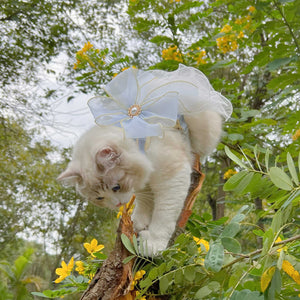 Unleash Adventure with the Multi Layer Yarn Pet Leash!