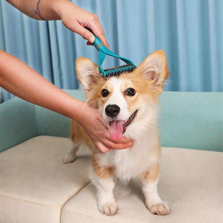 The Importance of Regular Pet Grooming