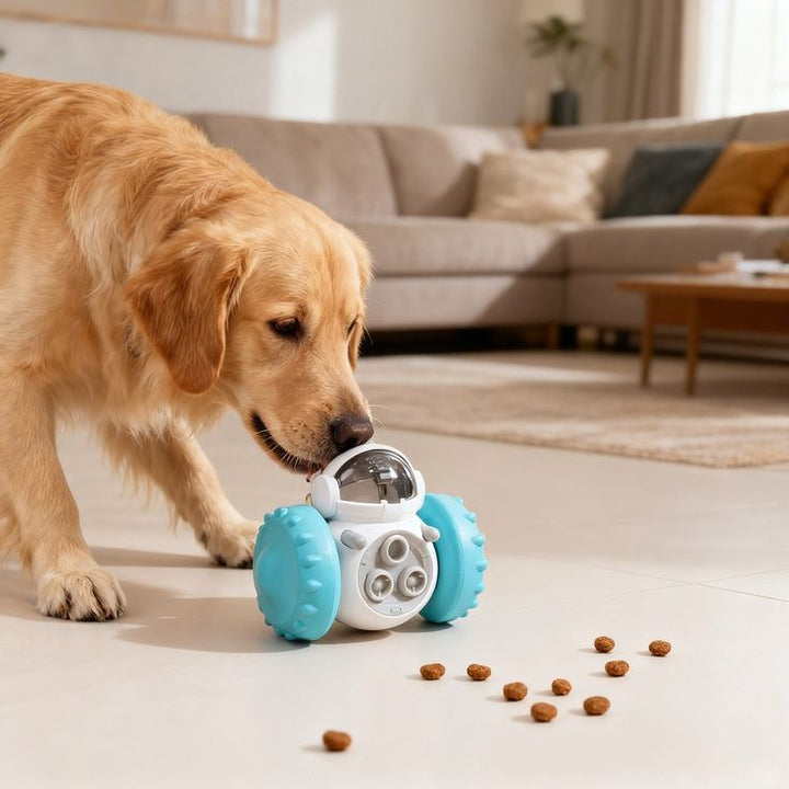 The Role of Toys in Pet Happiness