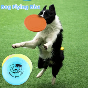 Unleash the Fun with Silicone Flying Saucer for Your Furry Friends!