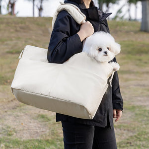 Traveling with Your Pet Just Got Easier