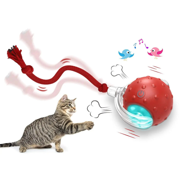 Unleash the Fun: Interactive Cat Toy Ball Super Drive Cat Rolling Ball