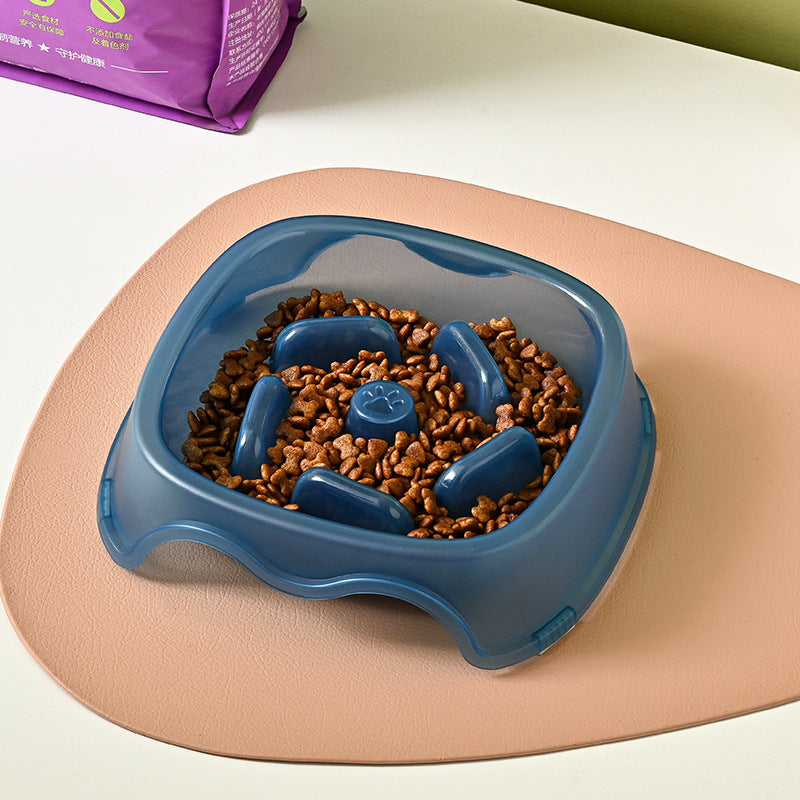 Anti Choking Pet Slow Feeding Water Bowl