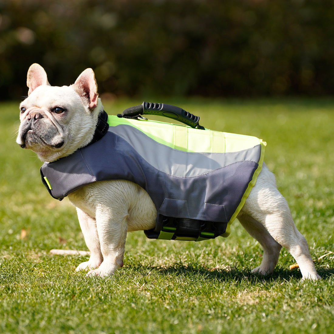 Pet Reflective Swimsuit Life Jacket Safety Gear