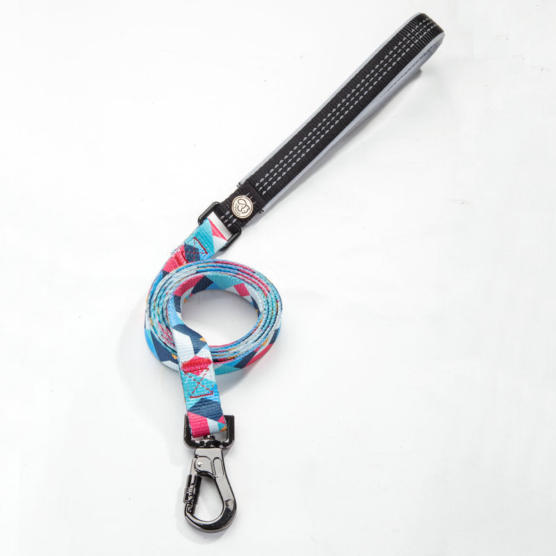 Pet Supplies Rope Leash Walking Strap Set