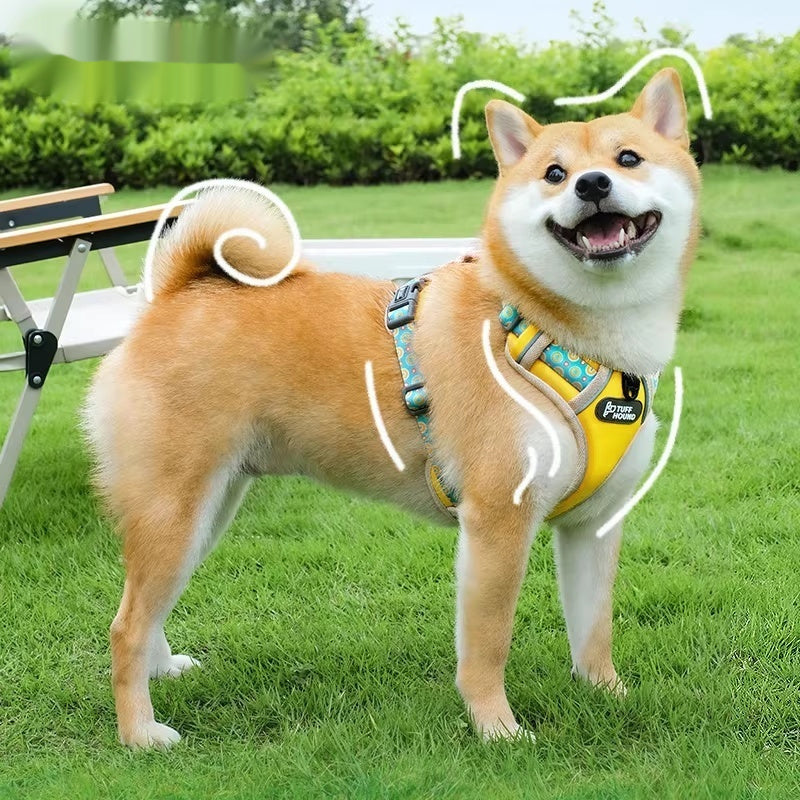 Vest Style Pet Harness And Walking Leash