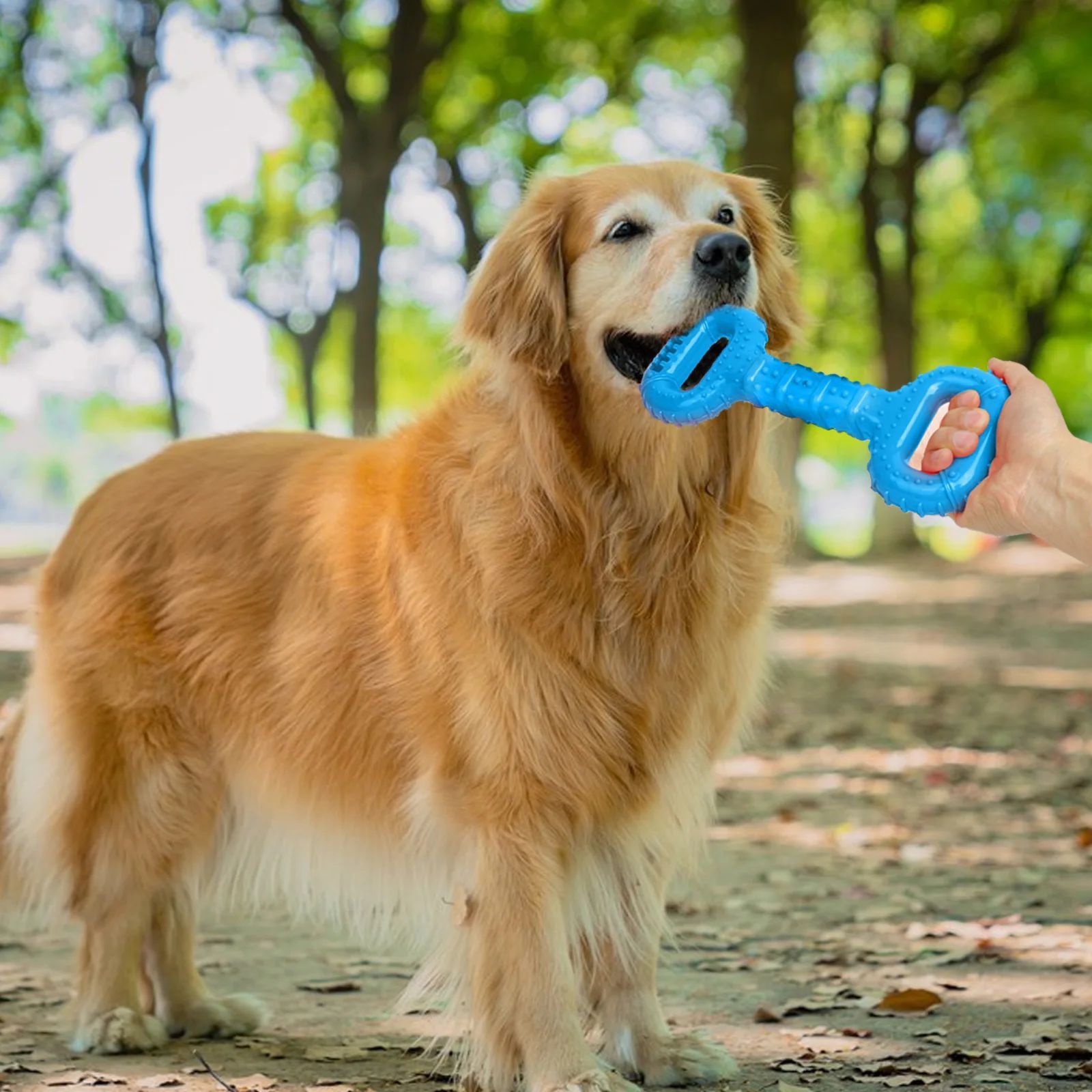 Pet Durable Chew Bone Interactive Teething Toy