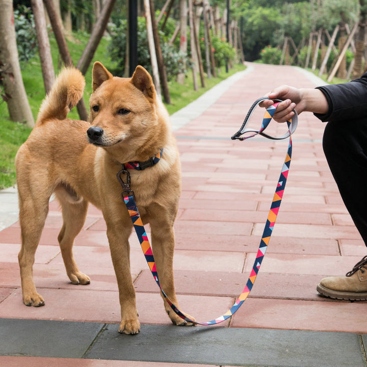 Pet Supplies Rope Leash Walking Strap Set