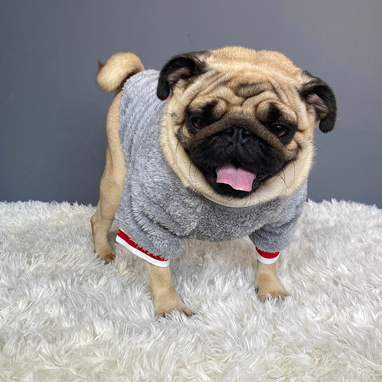 Pet Sweater Warm Knit Winter Clothing