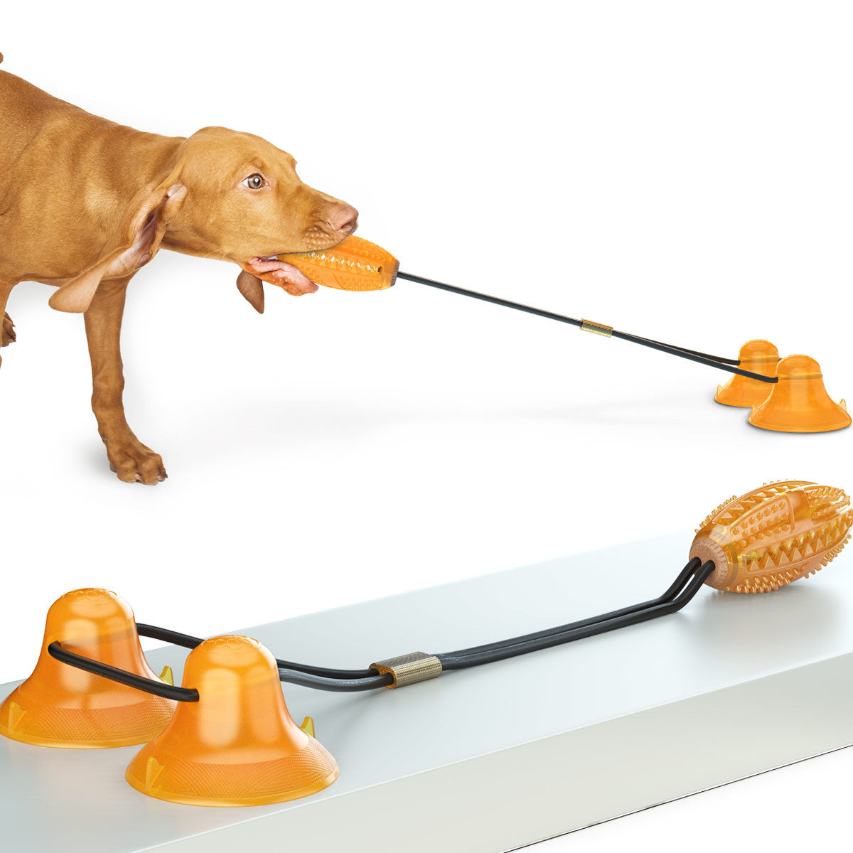Pet Tug Rope Ball Suction Molar Bite Toy