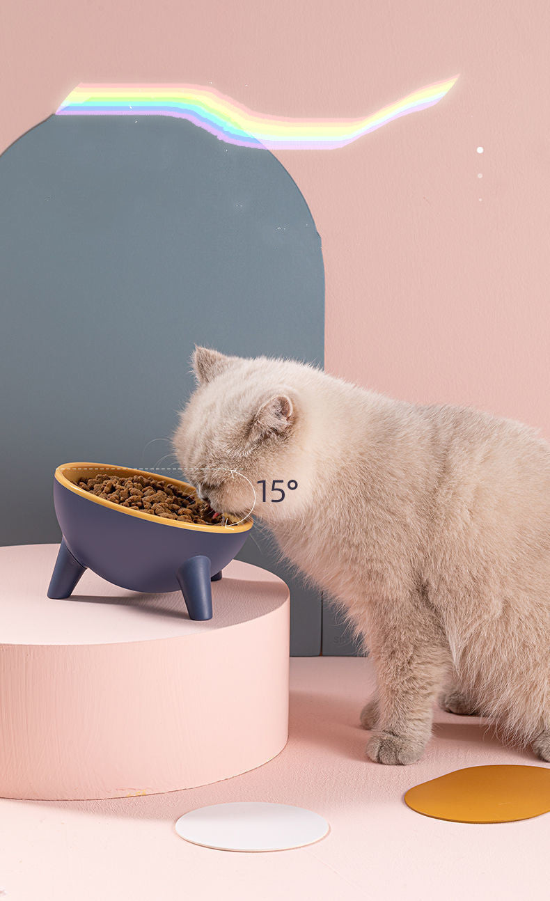 Nordic Pet Feeding Bowl With Stand