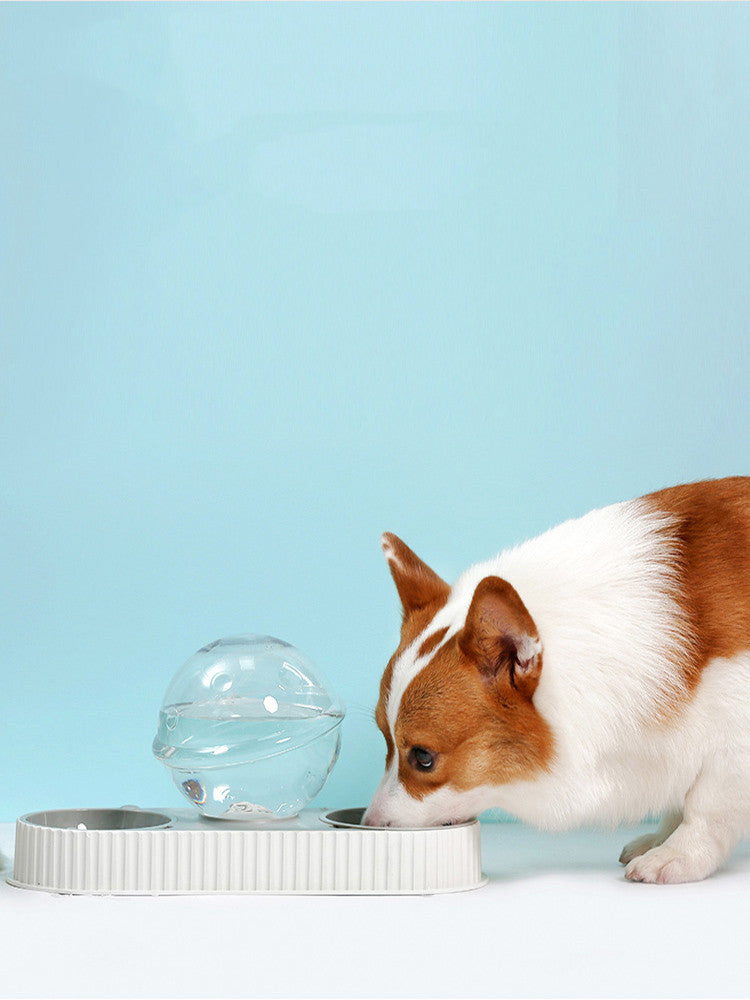 Automatic Plastic Pet Feeder And Water Drinking Bowl