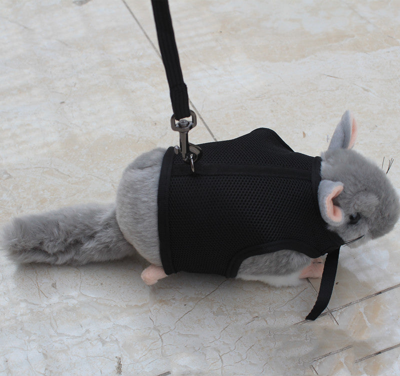 Pet Small Size Walking Leash