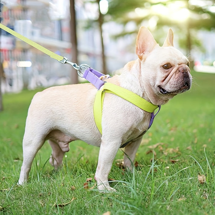Rainbow Colorblock Pet Harness Vest Rope Leash Set Designer Cotton