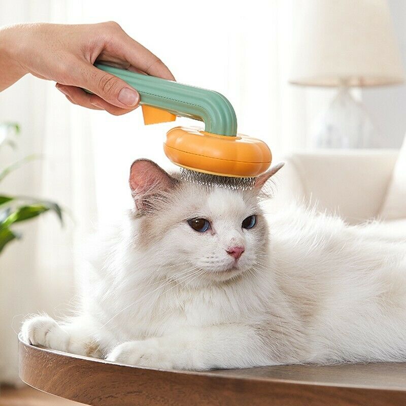 Pet Pumpkin Self Cleaning Grooming Brush Slicker Hair Removal Tool