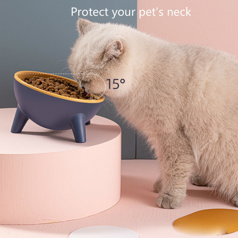 Nordic Pet Feeding Bowl With Stand