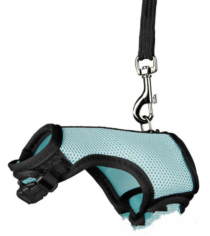 Pet Small Size Walking Leash