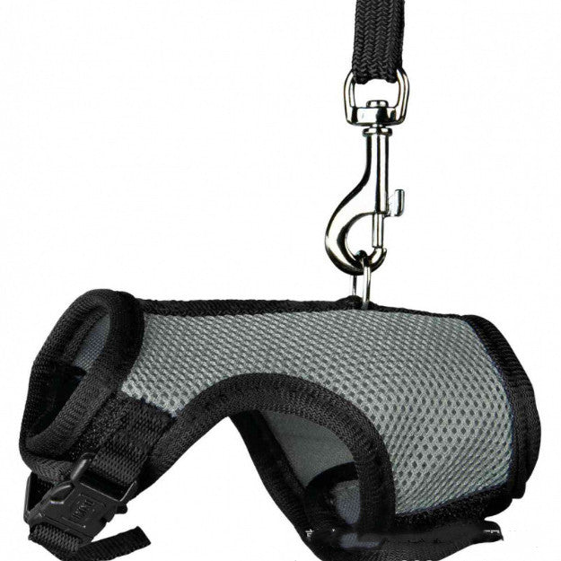 Pet Small Size Walking Leash