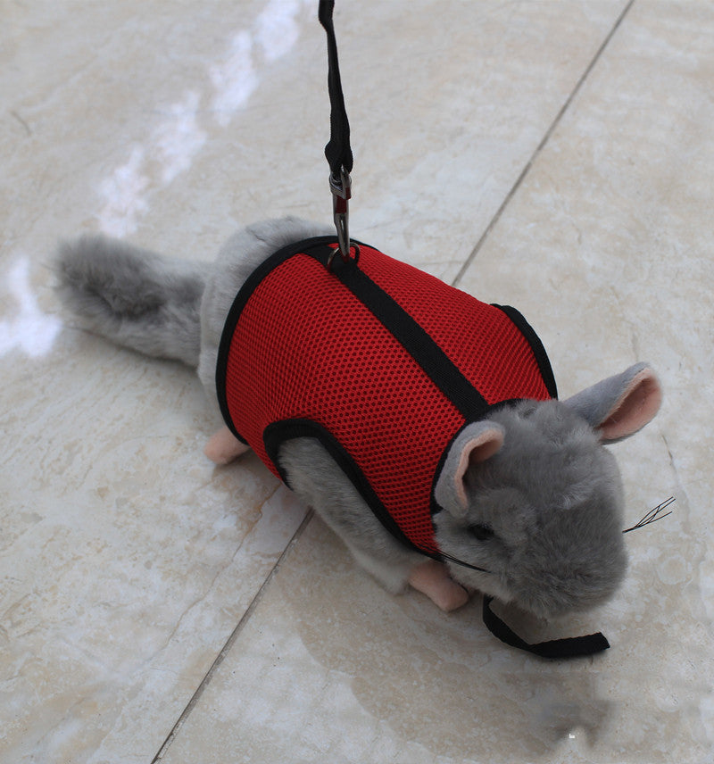 Pet Small Size Walking Leash