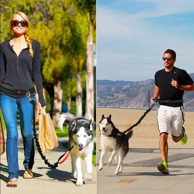 Adjustable Pet Harness Collar Jogging Rope Leash Suit