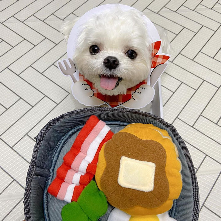 Pet Treat Dispensing Hide Food Toy