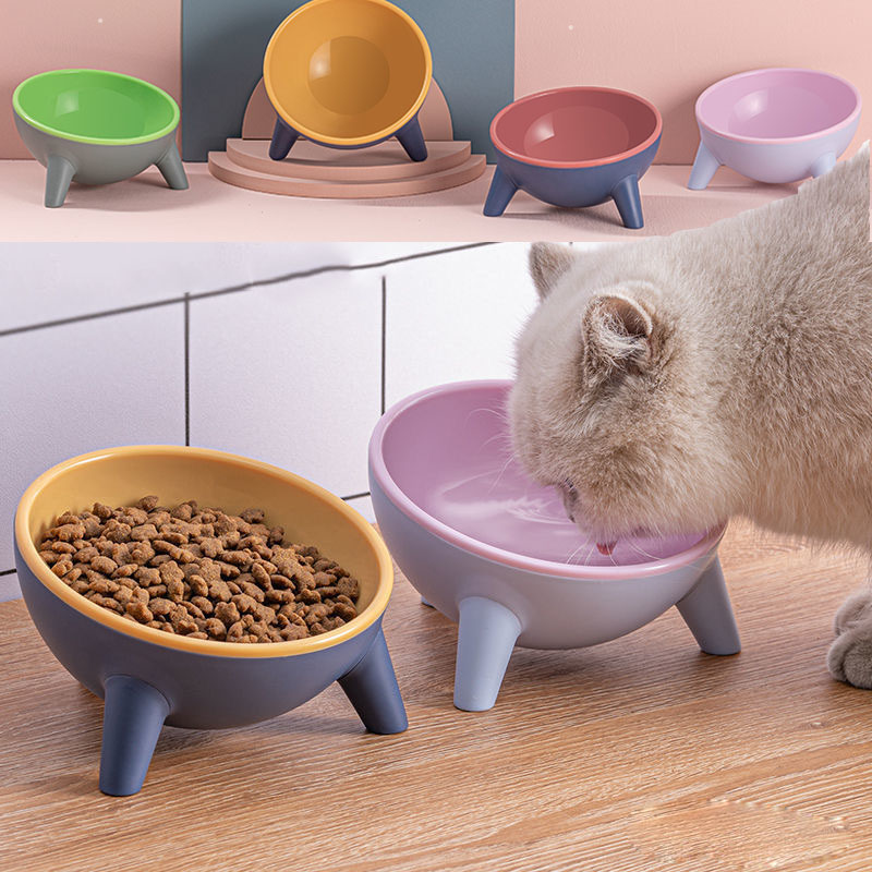 Nordic Pet Feeding Bowl With Stand