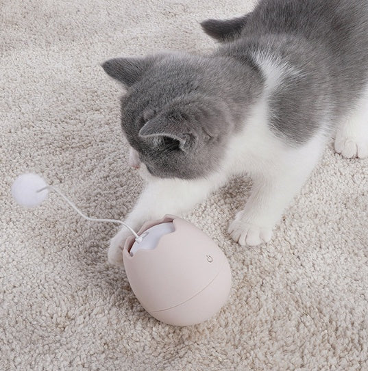 Pet Interactive Funny Cat Toy Entertainment Gadget