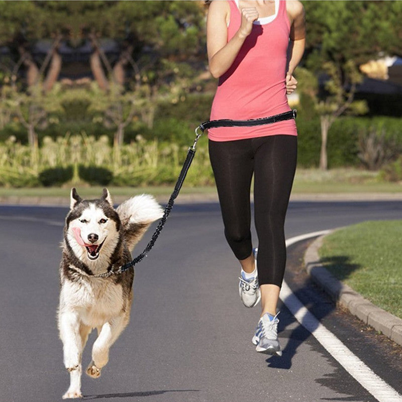 Adjustable Pet Harness Collar Jogging Rope Leash Suit