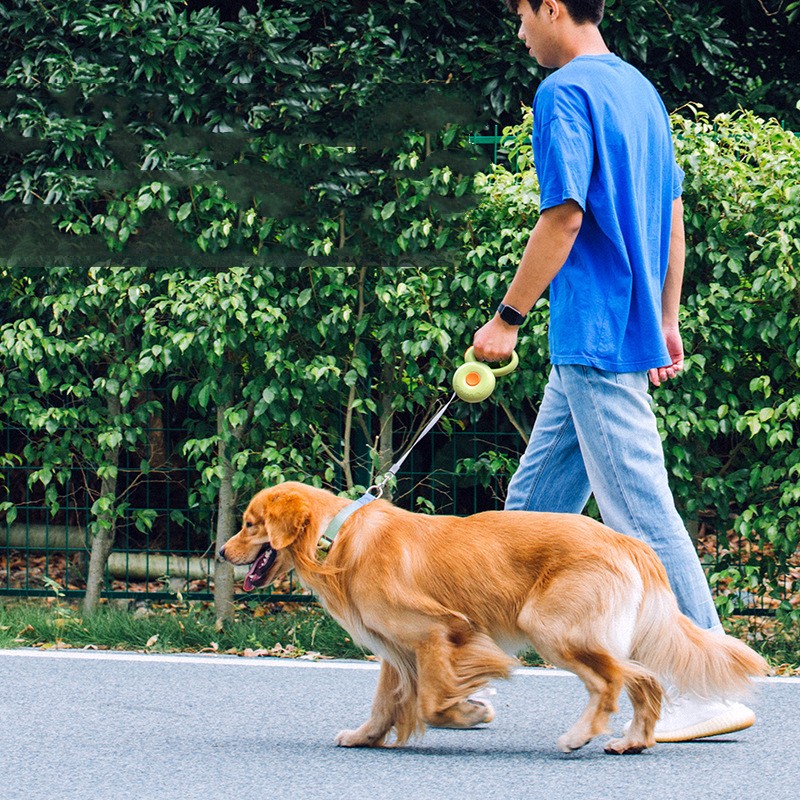 Reflective Pet Retractable Rope Leash Walking Harness
