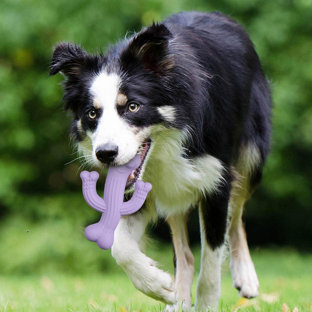 Pet Cactus Chew Toy Ultra Durable Interactive Boredom Buster