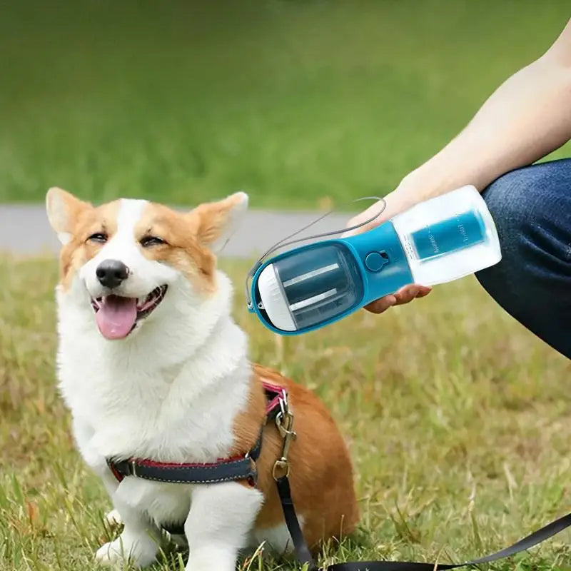 Active Dog Bundle