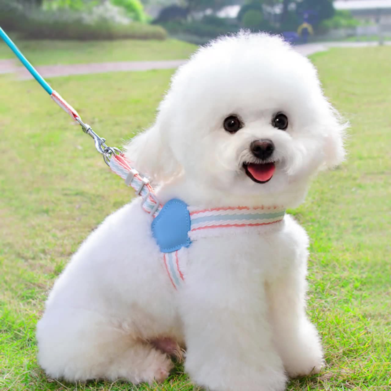 Summer Breathable Pet Chest Vest Walking Leash For Small Medium Pets