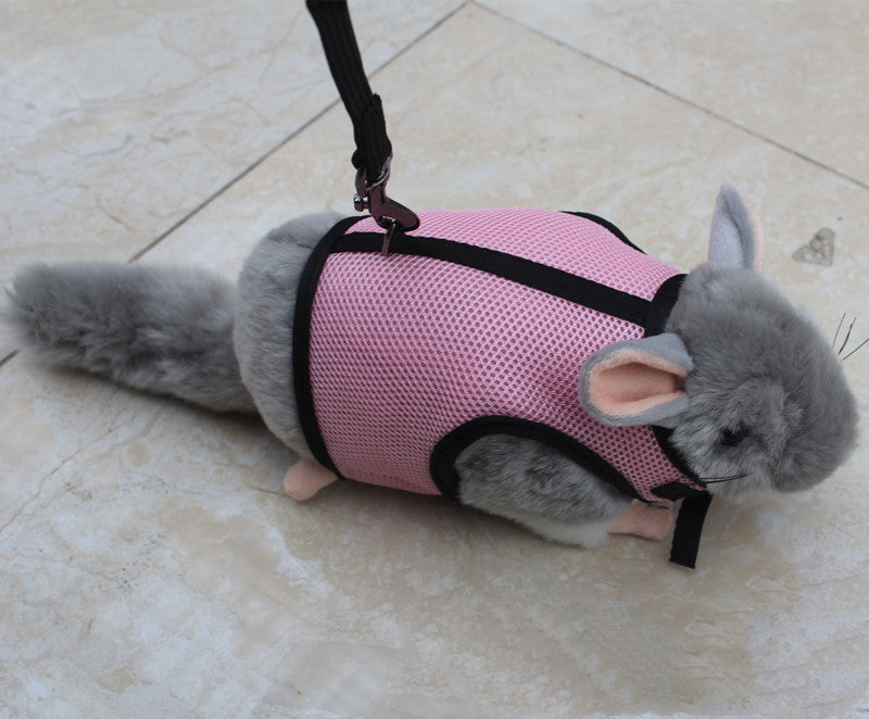 Pet Small Size Walking Leash