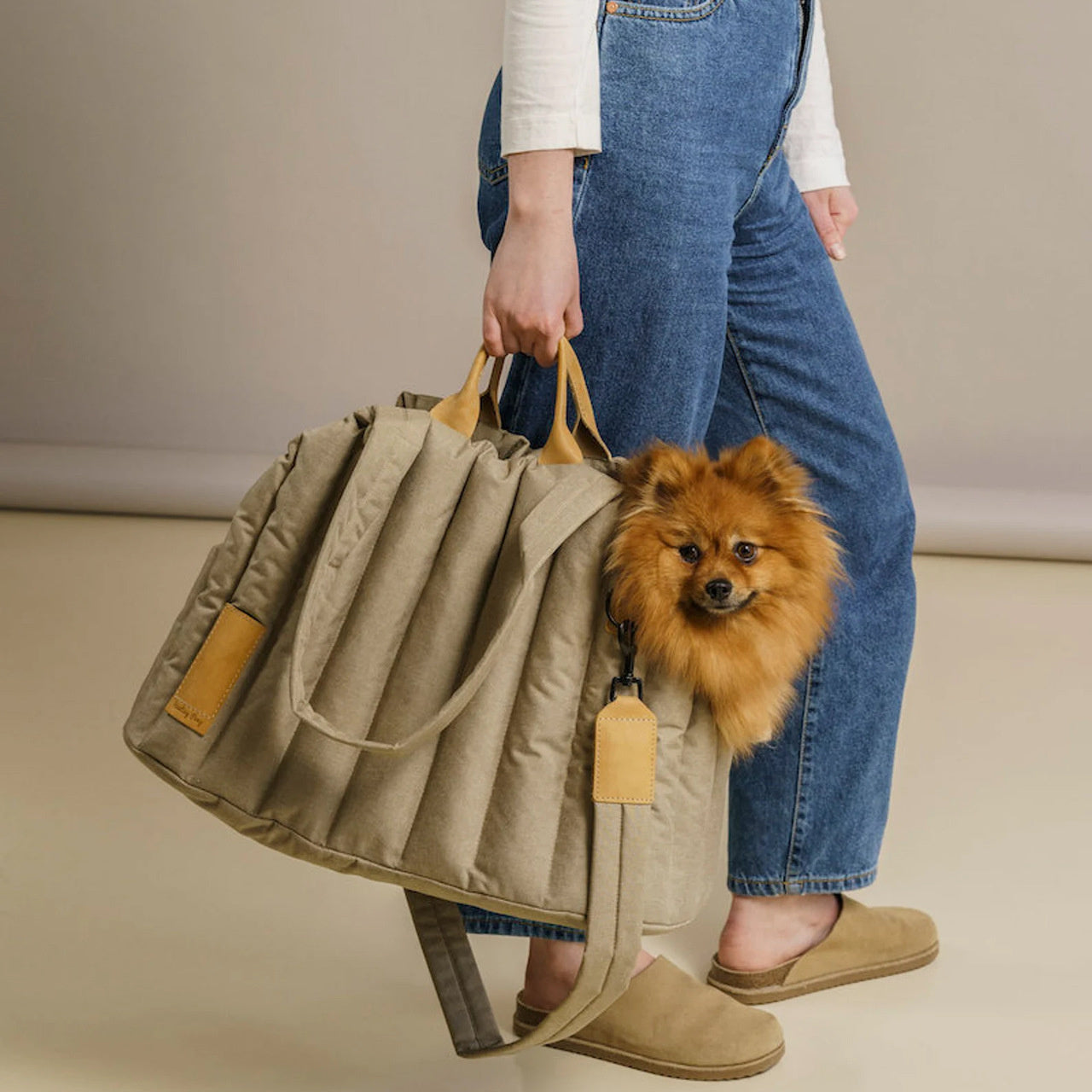 Pet Lightweight Waterproof Carrier Bag Portable Travel Handbag