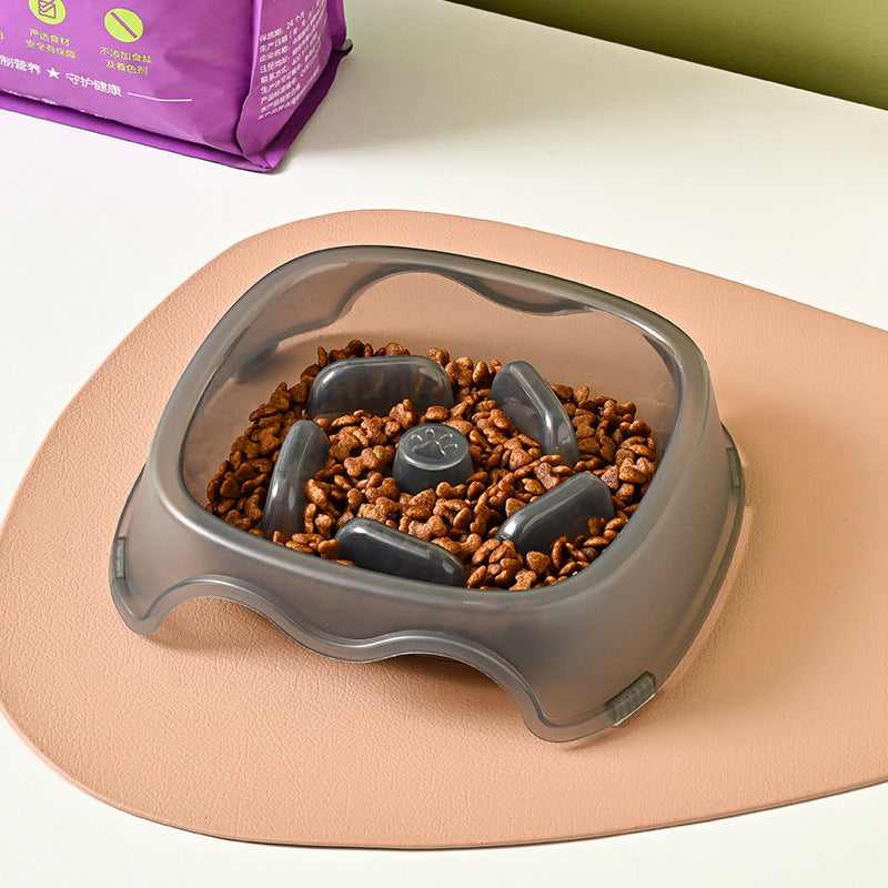 Anti Choking Pet Slow Feeding Water Bowl