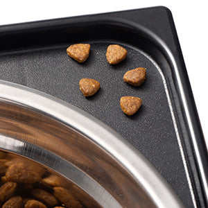 Elevated Pet Feeding Bowl With Neck Protection Design