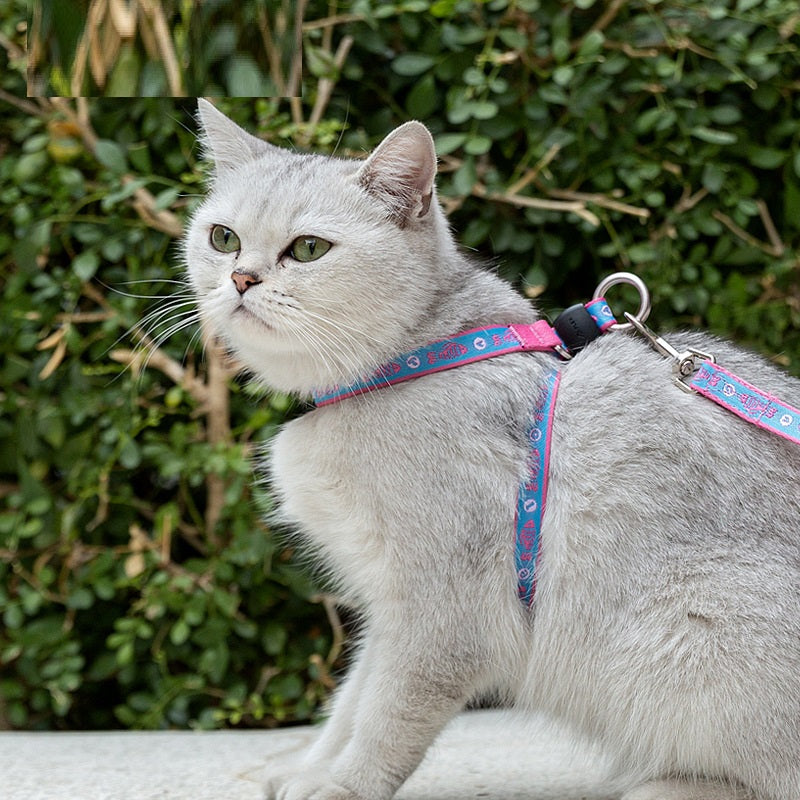 Pet Vest Chest Strap Bell Rope Leash Small Medium