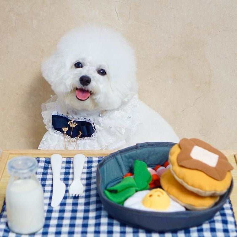 Pet Treat Dispensing Hide Food Toy