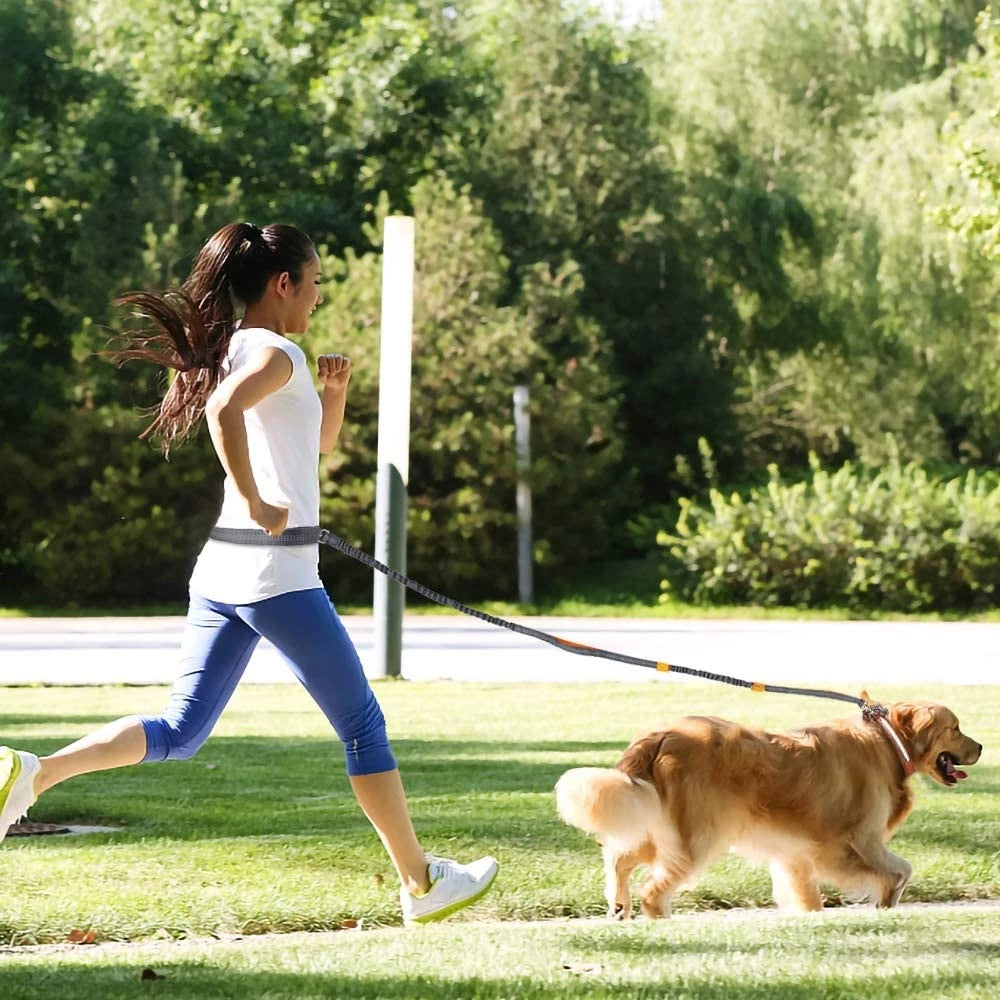 Adjustable Pet Harness Collar Jogging Rope Leash Suit