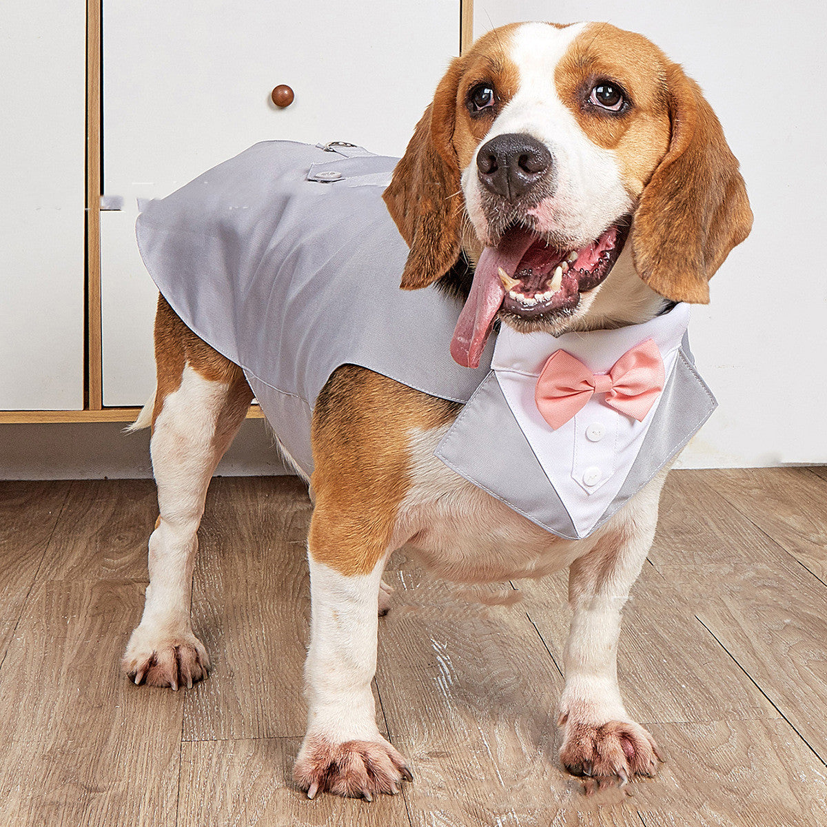 Pet Wedding Suit Jacket Formal Clothing