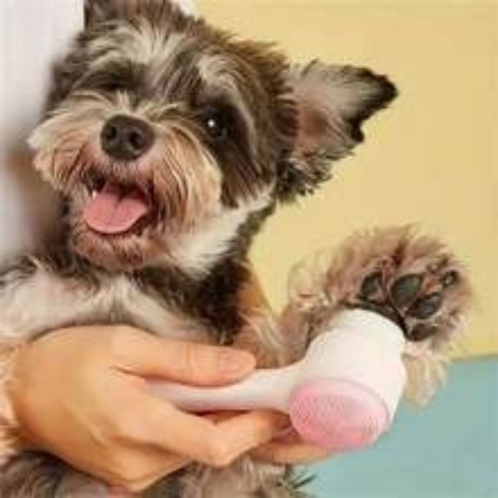 Easy Clean Nylon Pet Paw Brush Gentle Grooming Massage Tool