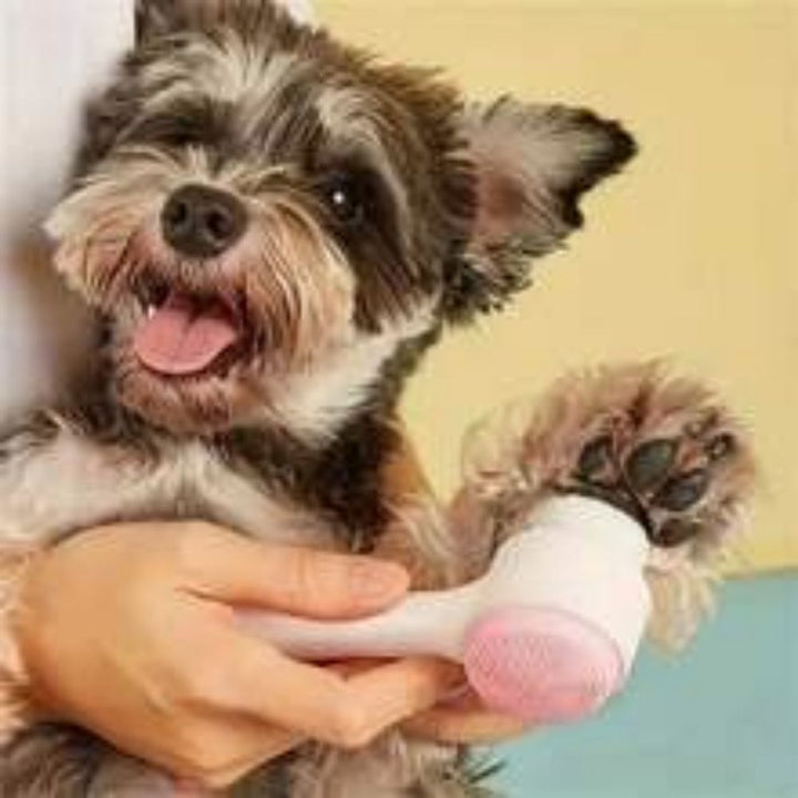 Easy Clean Nylon Pet Paw Brush Gentle Grooming Massage Tool