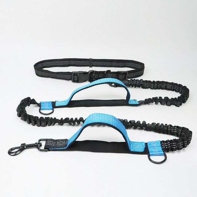 Active Dog Bundle